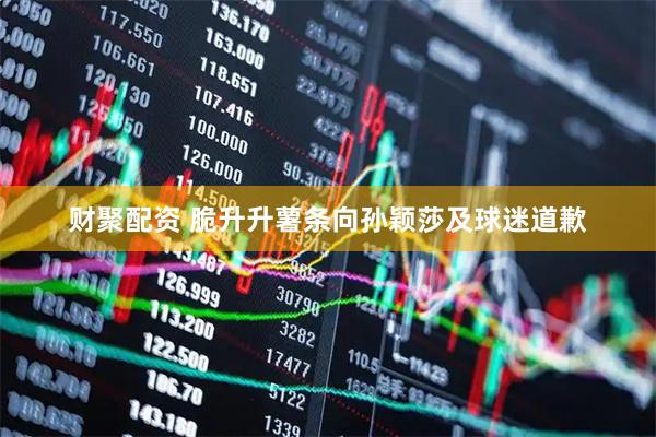 财聚配资 脆升升薯条向孙颖莎及球迷道歉