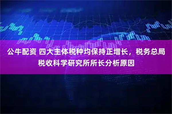 公牛配资 四大主体税种均保持正增长，税务总局税收科学研究所所长分析原因