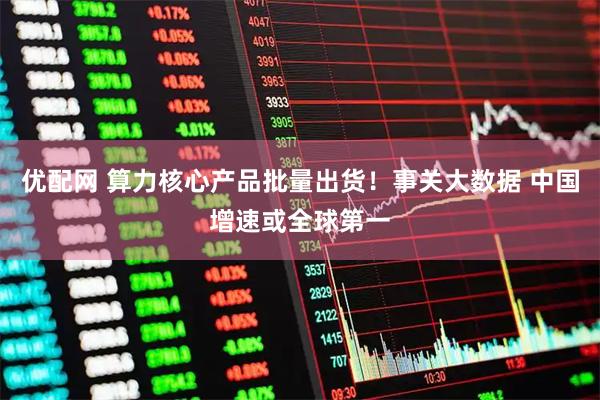 优配网 算力核心产品批量出货！事关大数据 中国增速或全球第一