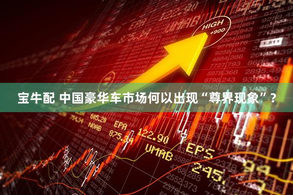 宝牛配 中国豪华车市场何以出现“尊界现象”？