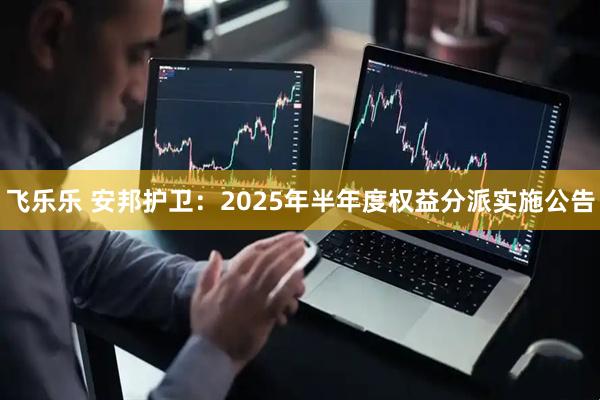 飞乐乐 安邦护卫：2025年半年度权益分派实施公告