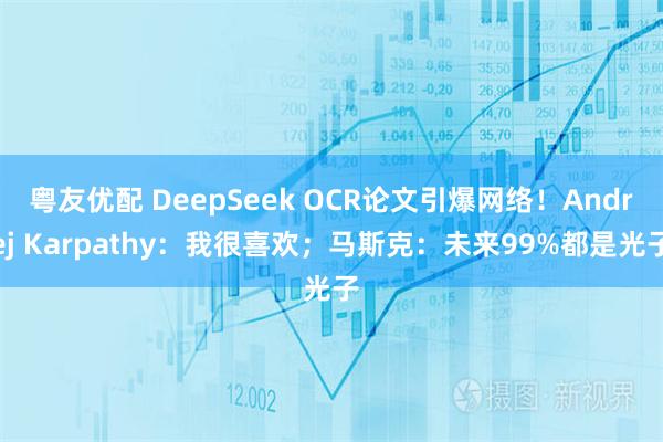 粤友优配 DeepSeek OCR论文引爆网络!Andrej Karpathy:我很喜欢;马斯克:未来99%都是光子