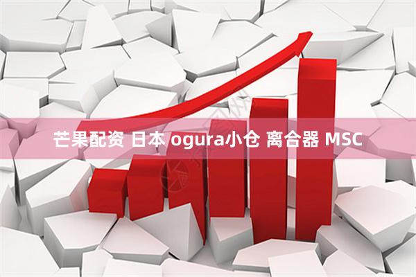 芒果配资 日本 ogura小仓 离合器 MSC