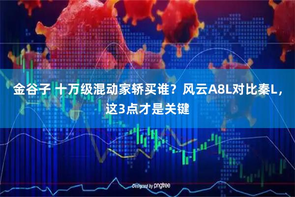 金谷子 十万级混动家轿买谁？风云A8L对比秦L，这3点才是关键