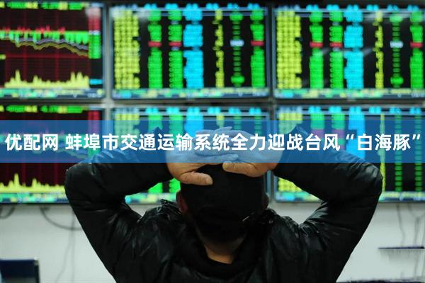 优配网 蚌埠市交通运输系统全力迎战台风“白海豚”